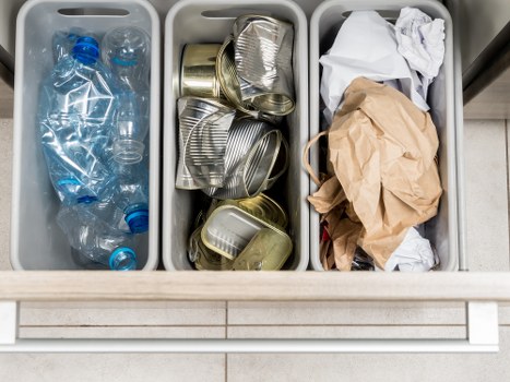 Professional waste removal services team